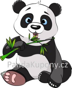 pandakupony logo